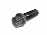12-point-flange-bolt